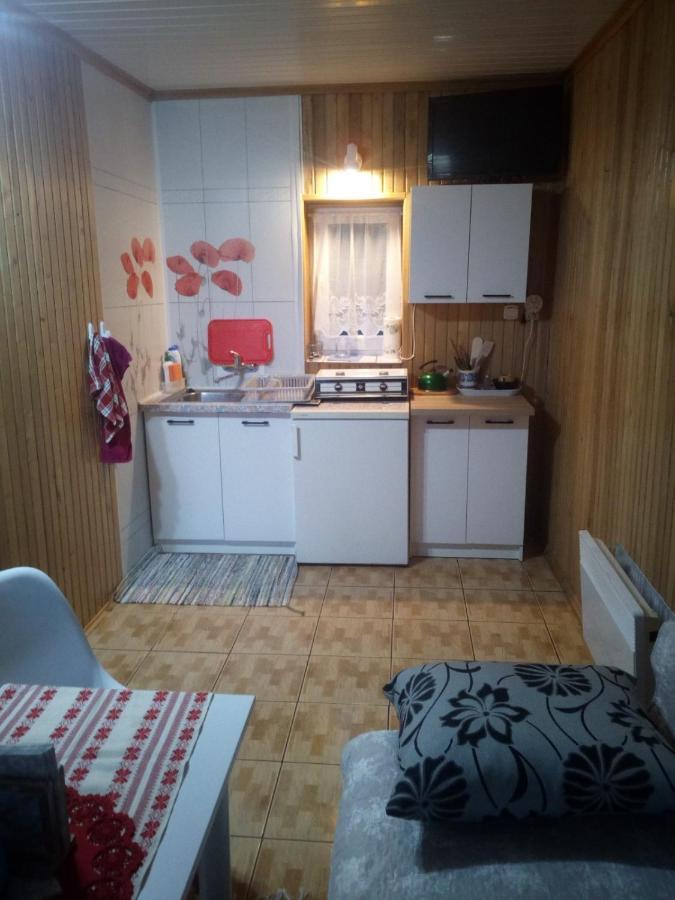 Jancio Wodnik Apartment