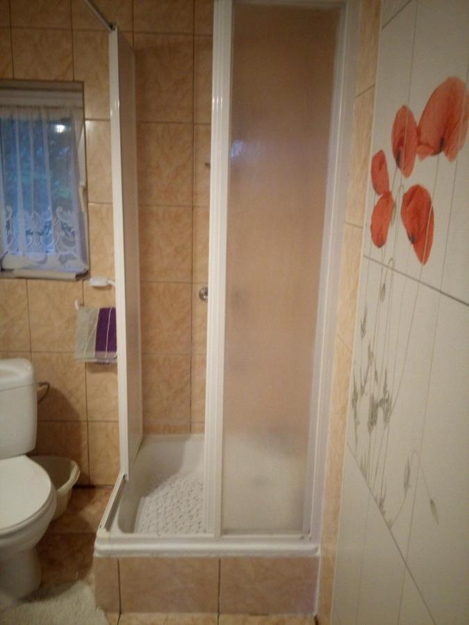 Jancio Wodnik Apartment Smerek