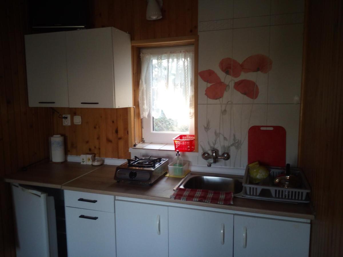 Jancio Wodnik Apartment