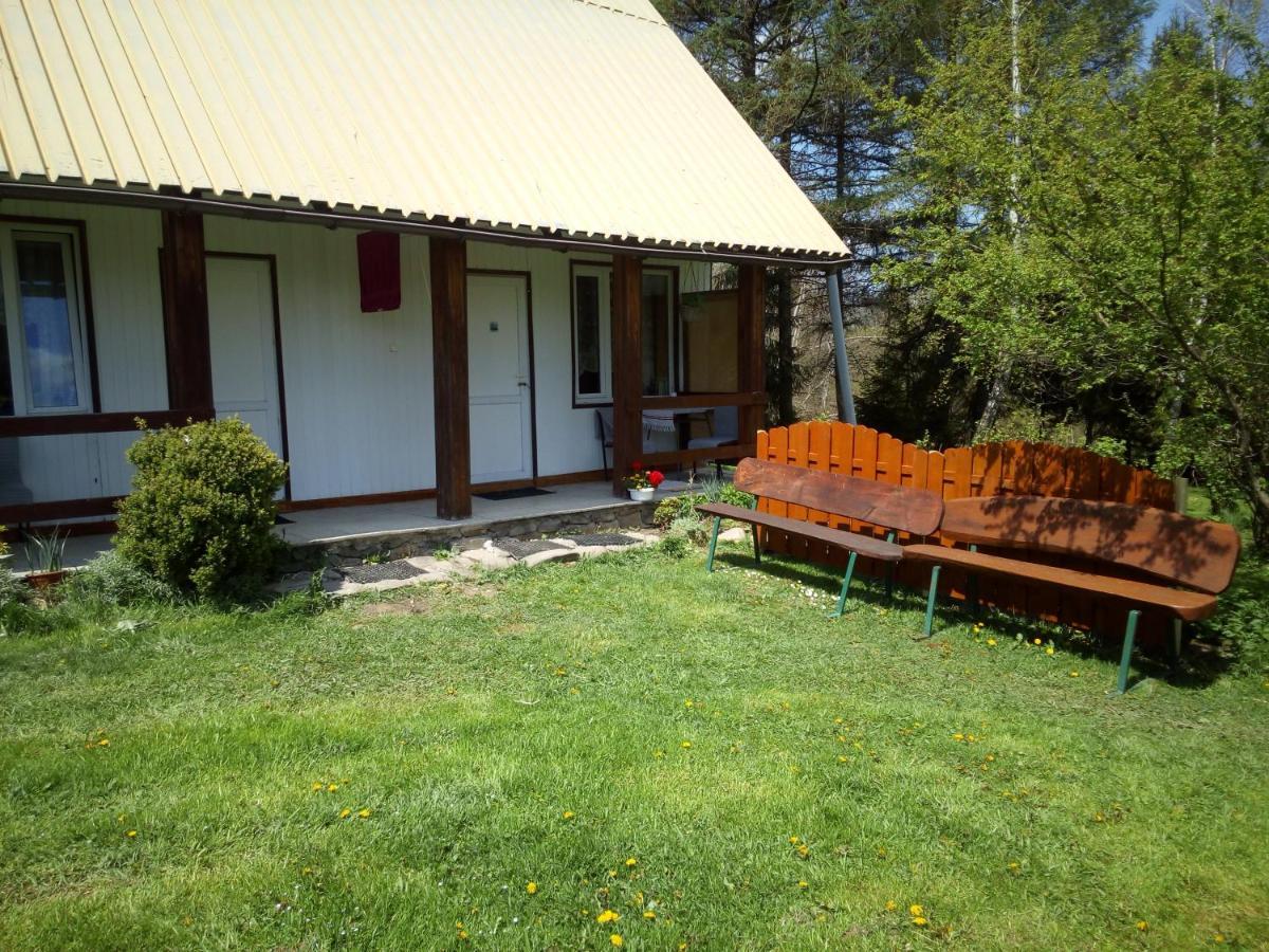 Jancio Wodnik Apartment Smerek